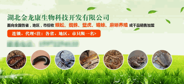 利民金头蜈蚣养殖